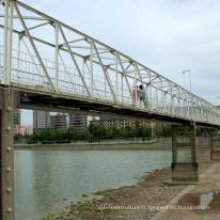 Conçu Steel Bridge (wz-536)